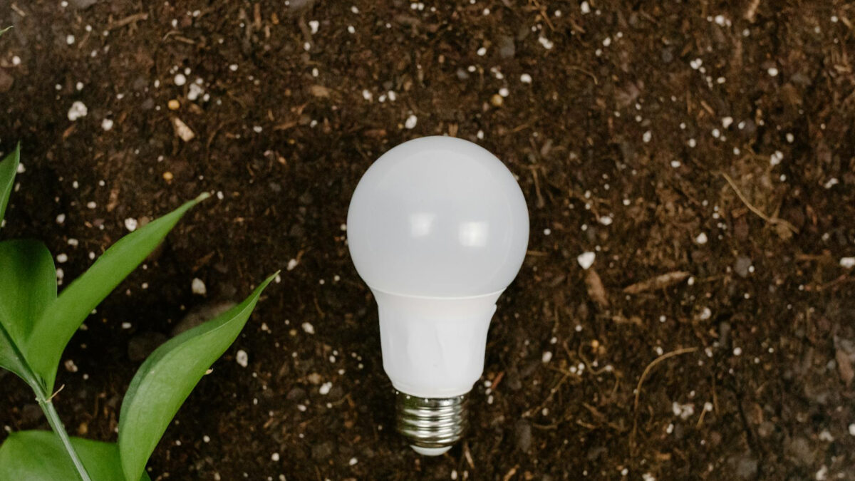 «Ώρα της Γης 2026»: Πότε πρέπει να σβήσουμε τα φώτα και για πόση ώρα - Οι εκδηλώσεις που θα γίνουν στην Αθήνα