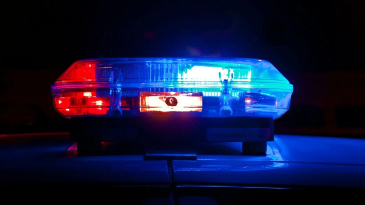 Οργή για δύο αδέρφια που κρατούσαν αιχμάλωτη την μητέρα τους για μήνες, την βασάνιζαν και την έθαψαν στο δάσος