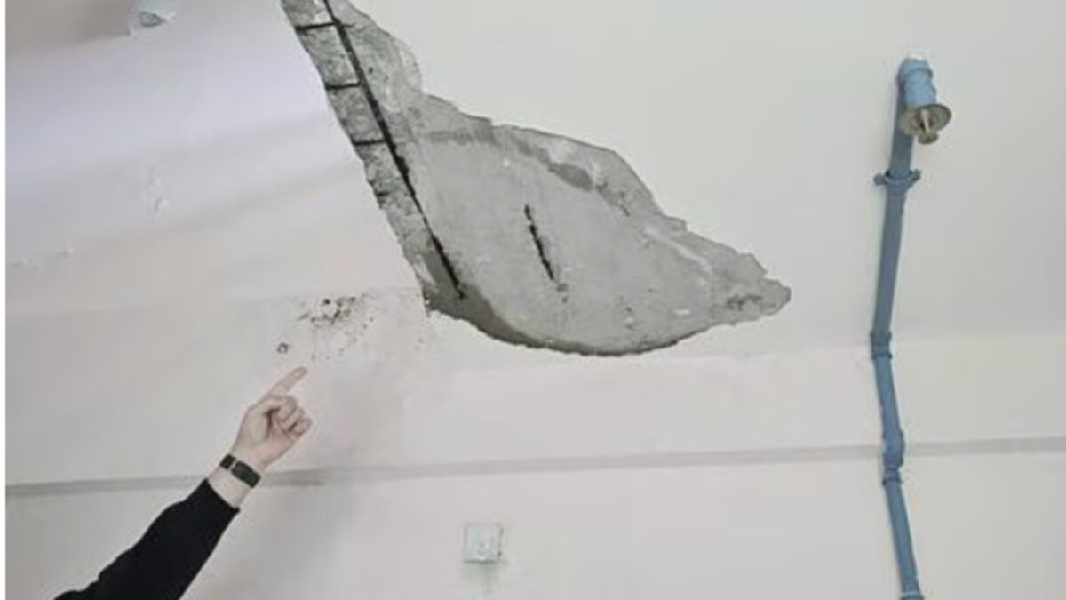 Οργή σε σχολείο: Παιδιά με ειδικές ανάγκες κάνουν μάθημα δίπλα σε τρωκτικά και σοβάδες που πέφτουν