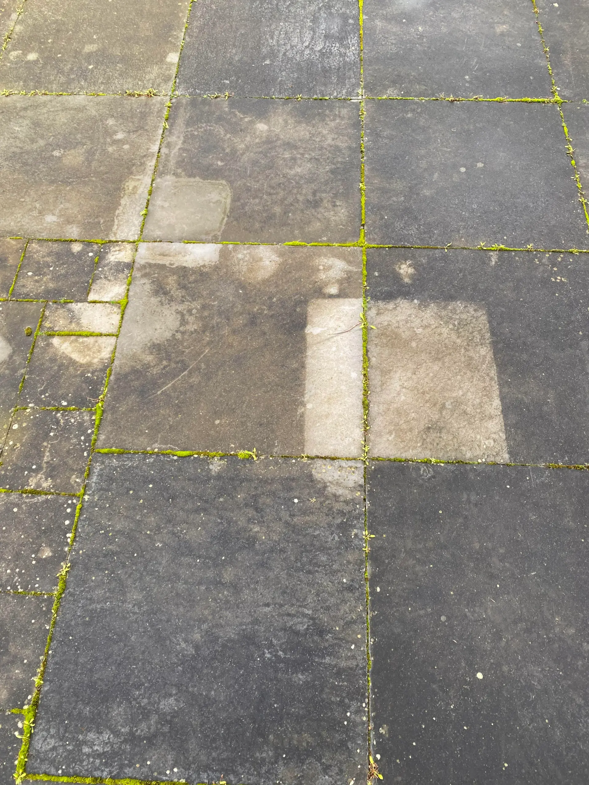 Πρασινίλες,σκουρίες από γλάστρες και μαυρίλες στα πλακάκια της αυλής: Καθάρισε τα σαν επαγγελματίας για το Πάσχα