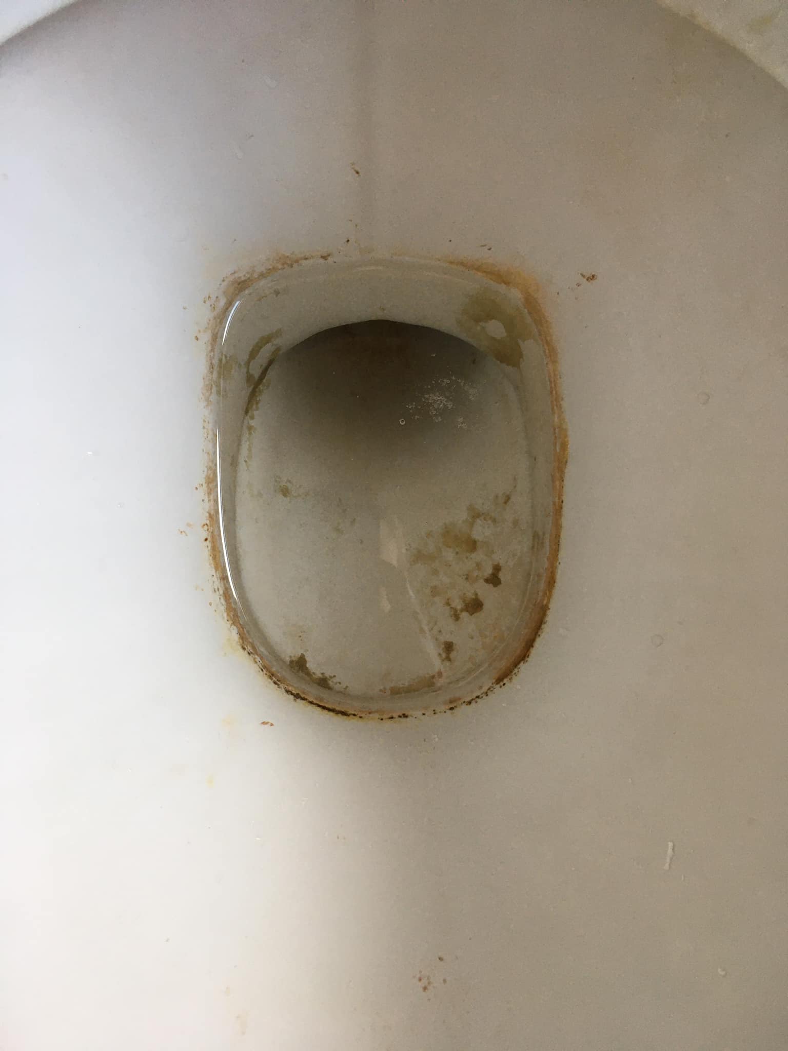 Το μυστικό της μαμάς μου για να μοσχοβολάει η λεκάνη της τουαλέτας και κοστίζει μόλις 1 ευρώ