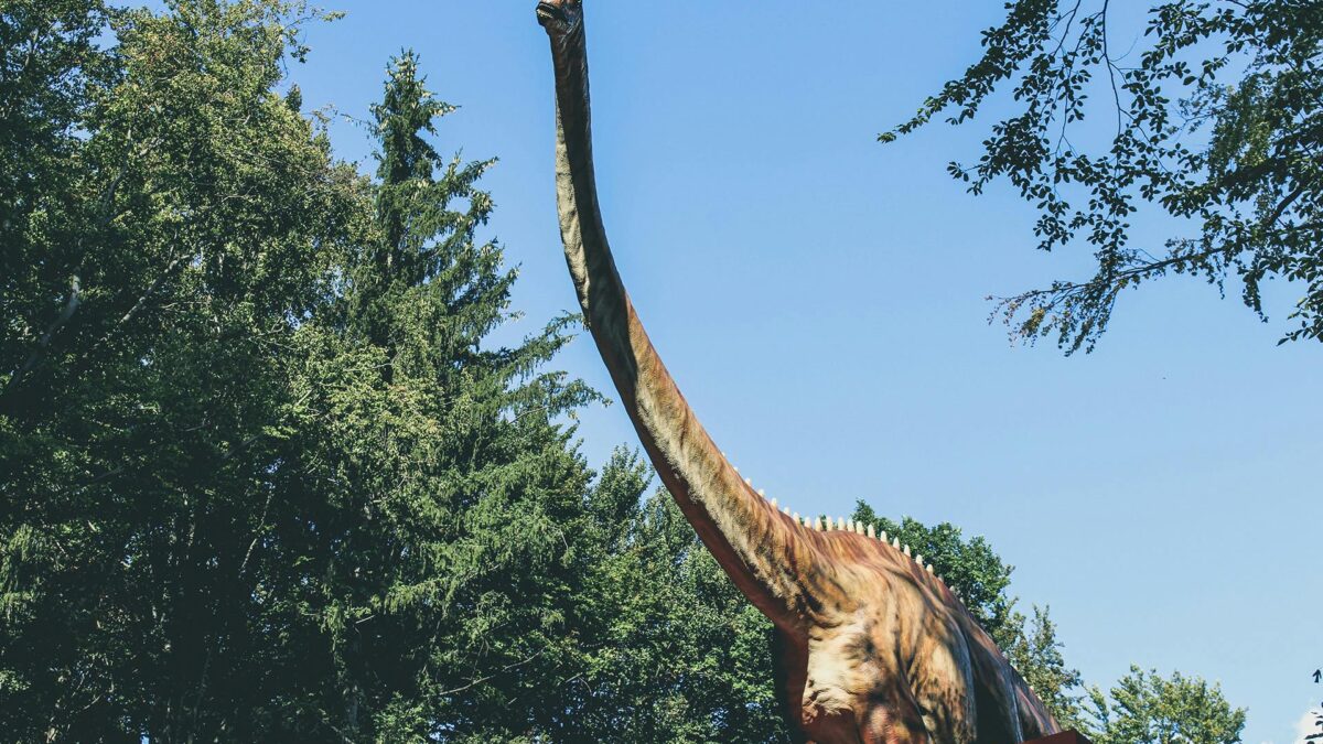 Ανακαλύφθηκαν ίχνη δεινοσαύρου σε βράχο 132.000.000 ετών κάτω από τη θάλασσα