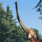 Ανακαλύφθηκαν ίχνη δεινοσαύρου σε βράχο 132.000.000 ετών κάτω από τη θάλασσα