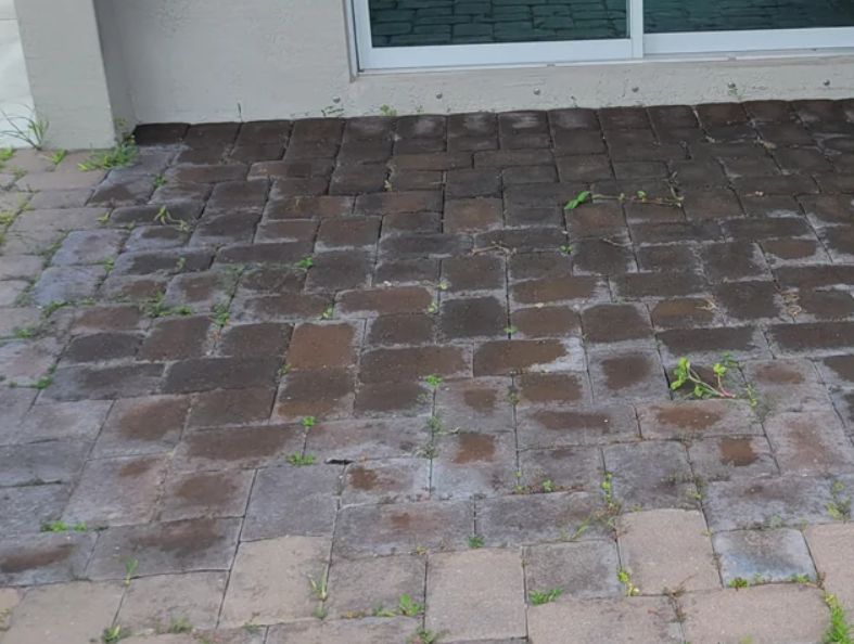 Αναλυτικός οδηγός για να καθαρίσεις το μπαλκόνι και την αυλή από τη καρβουνίλα και τις μαυρίλες μετά το Πάσχα