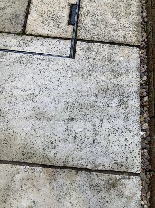 Αναλυτικός οδηγός για να καθαρίσεις το μπαλκόνι και την αυλή από τη καρβουνίλα και τις μαυρίλες μετά το Πάσχα