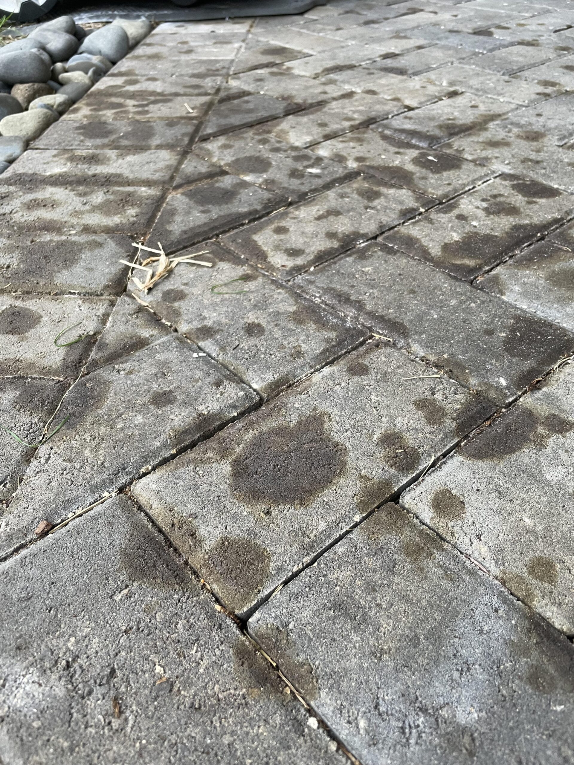 Αναλυτικός οδηγός για να καθαρίσεις το μπαλκόνι και την αυλή από τη καρβουνίλα και τις μαυρίλες μετά το Πάσχα