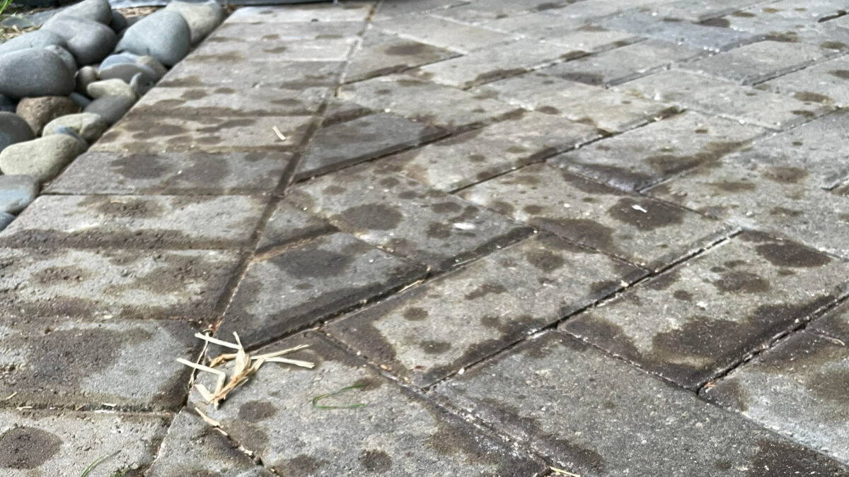 Αναλυτικός οδηγός για να καθαρίσεις το μπαλκόνι και την αυλή από τη καρβουνίλα και τις μαυρίλες μετά το Πάσχα