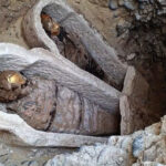 Ιστορική επιστημονική ανακάλυψη: Βρέθηκε μούμια στην Αίγυπτο που διάβαζε Ιλιάδα