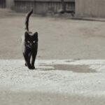 Η κόρη μου τα έμπλεξε με κοντό κι εγώ δεν τον θέλω γιατί θεωρώ ότι οι κοντοί είναι γρουσούζηδες