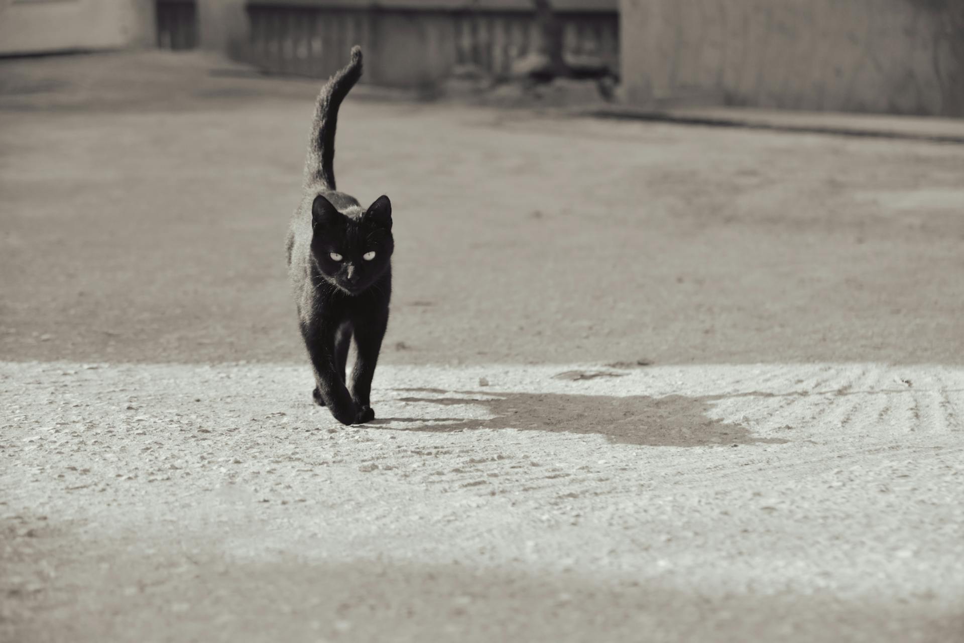 Η κόρη μου τα έμπλεξε με κοντό κι εγώ δεν τον θέλω γιατί θεωρώ ότι οι κοντοί είναι γρουσούζηδες 3 Η κόρη μου τα έμπλεξε με κοντό κι εγώ δεν τον θέλω γιατί θεωρώ ότι οι κοντοί είναι γρουσούζηδες