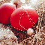 Οι ανακοινώσεις του ΕΦΕΤ για τα Πασχαλινά αυγά: Τα σημεία που πρέπει να προσέξουν οι καταναλωτές