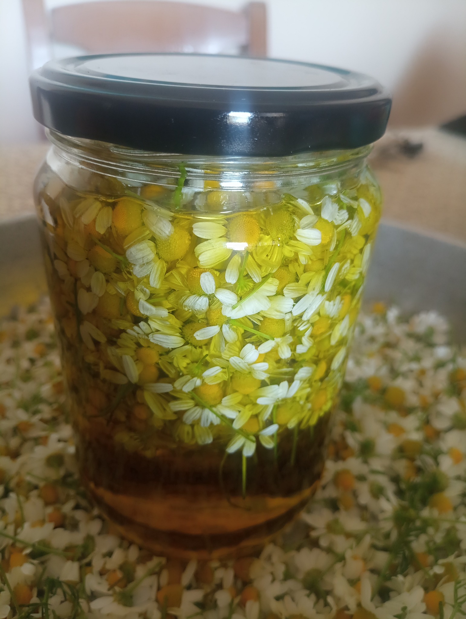 Πως να φτιάξεις χαμομηλόλαδο