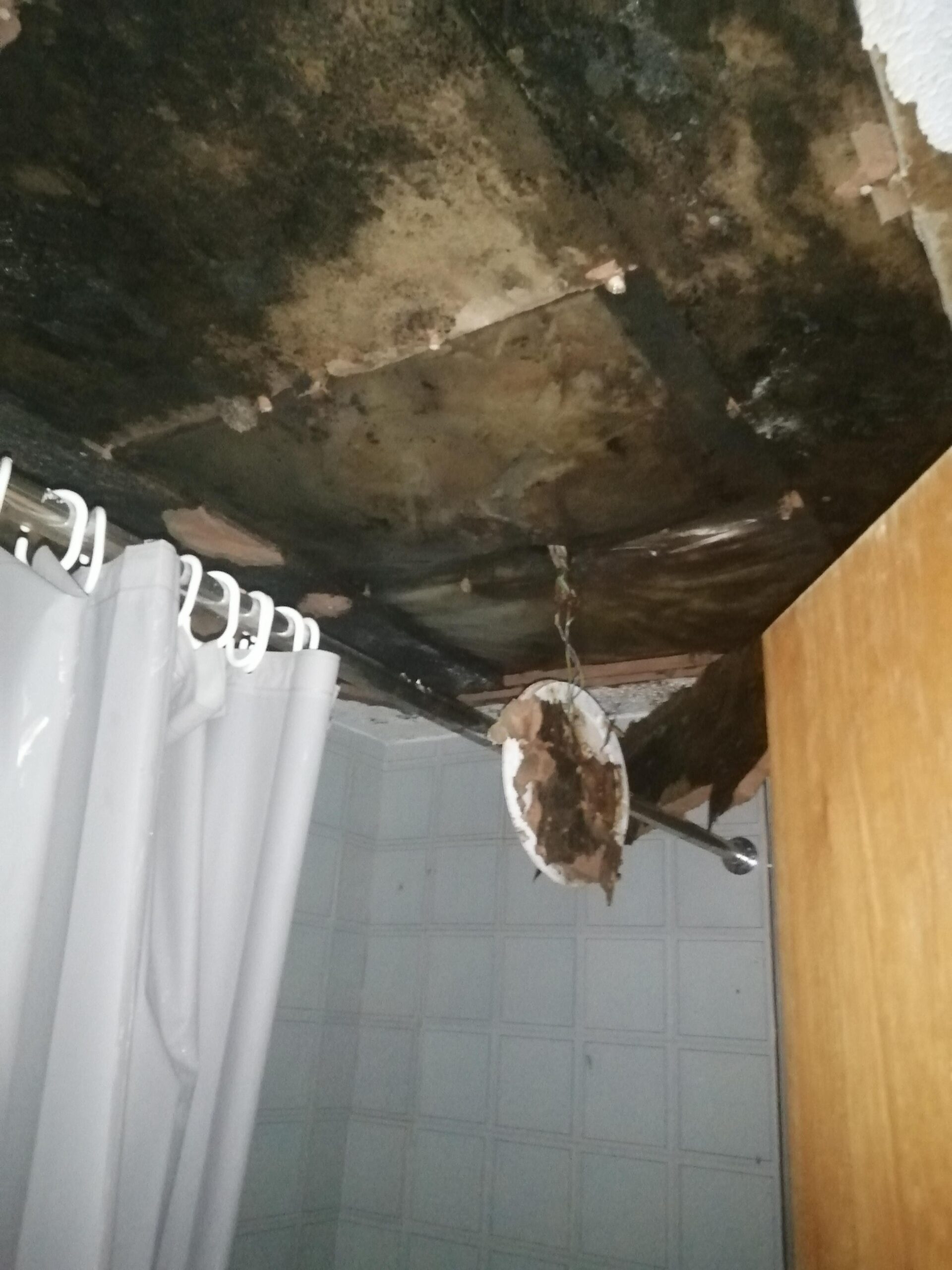 Ταβάνι με μούχλα που θέλει βάψιμο: Αναλυτικός οδηγός για να το βάψεις μόνη σου χωρίς μάστορα 3 Ταβάνι με μούχλα που θέλει βάψιμο: Αναλυτικός οδηγός για να το βάψεις μόνη σου χωρίς μάστορα
