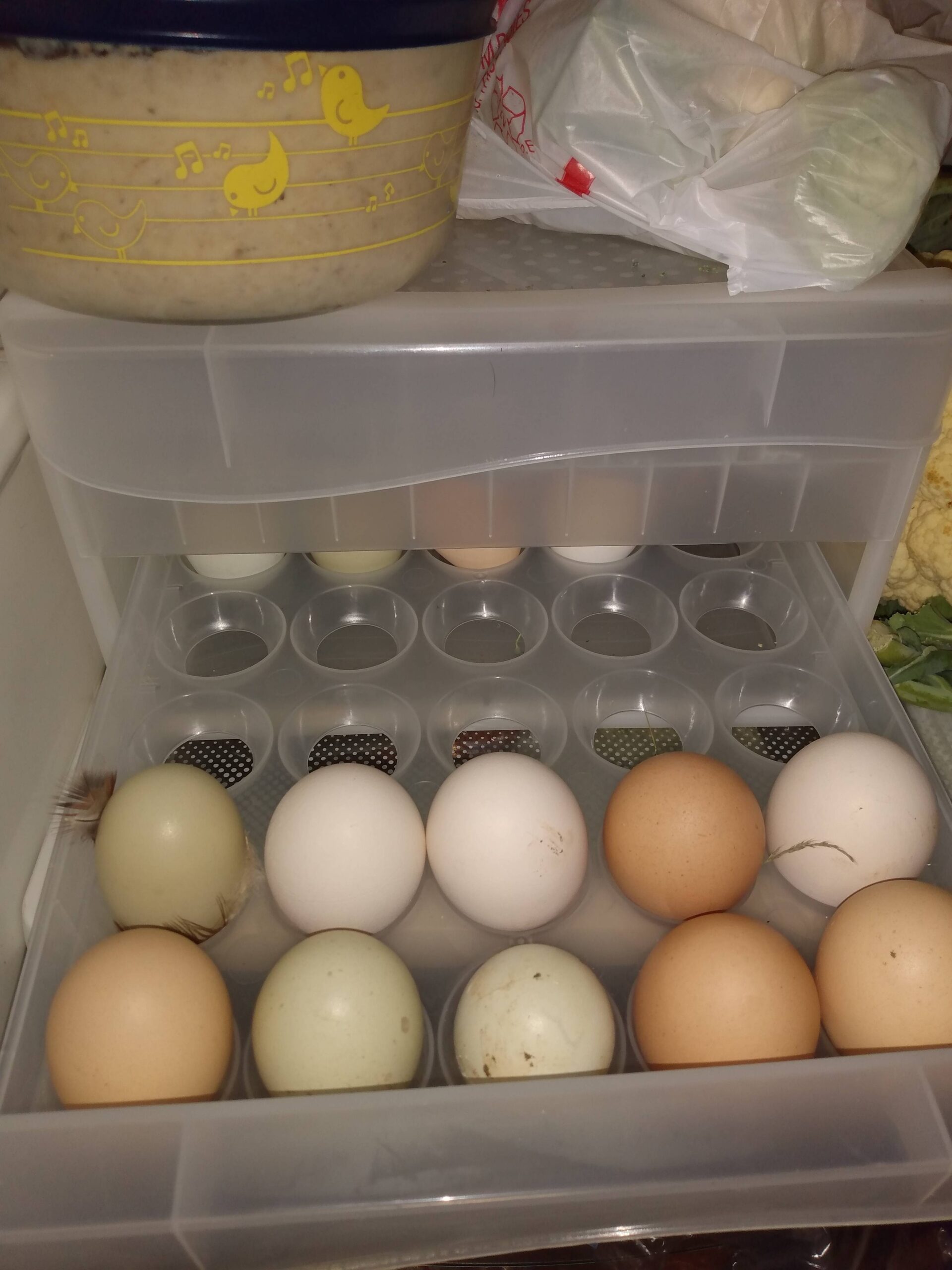 Τελικά μπαίνουν τα Πασχαλινά αυγά στη κατάψυξη; Η απάντηση που δεν περιμένατε