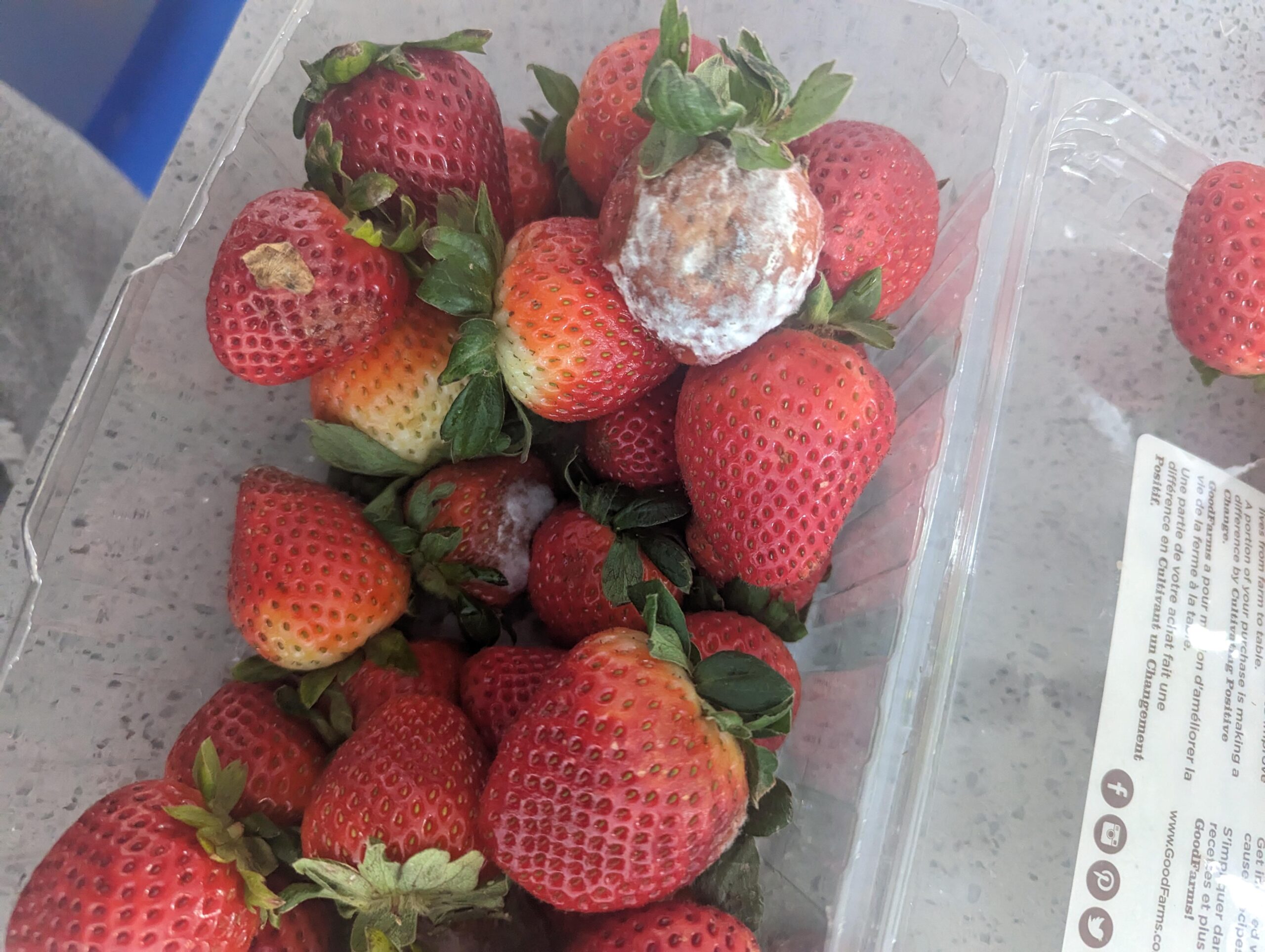 Το έξυπνο κόλπο για να διατηρήσεις τις φράουλες για πάνω από εβδομάδα στο ψυγείο