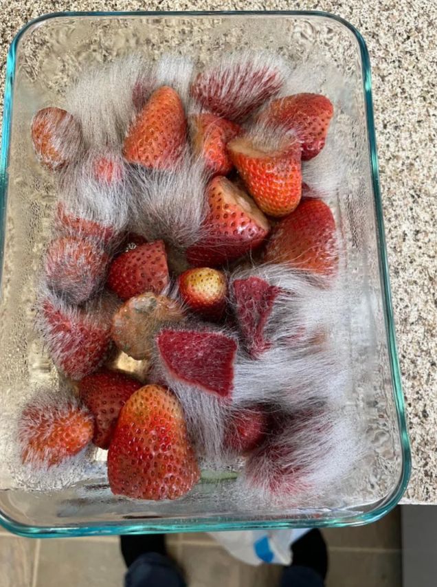 Το έξυπνο κόλπο για να διατηρήσεις τις φράουλες για πάνω από εβδομάδα στο ψυγείο