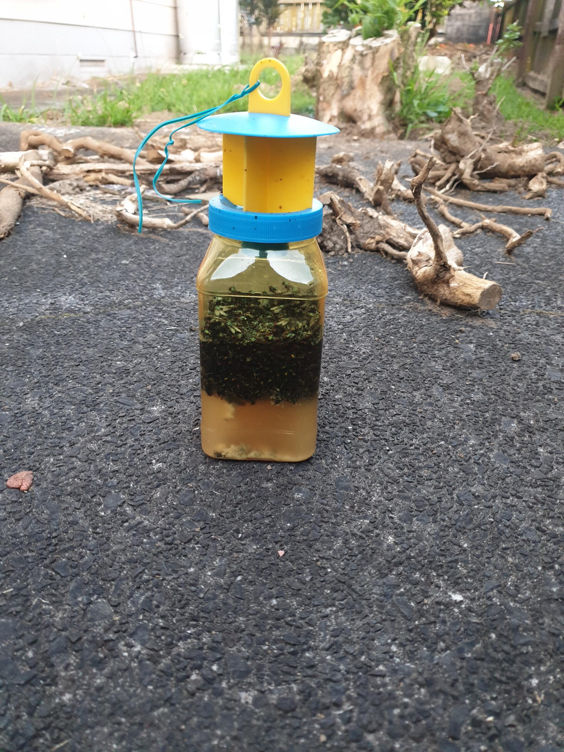 Το φυσικό εντομοαπωθητικό που χρησιμοποιεί η μαμά μου για να διώχνει τις μύγες από το αρνί και τα κρέατα του Πάσχα