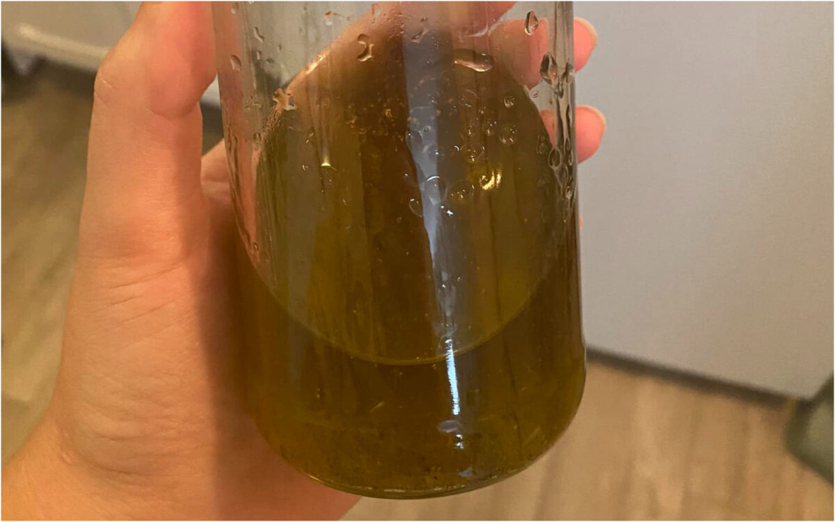 Πώς να φτιάξεις ριγανέλαιο