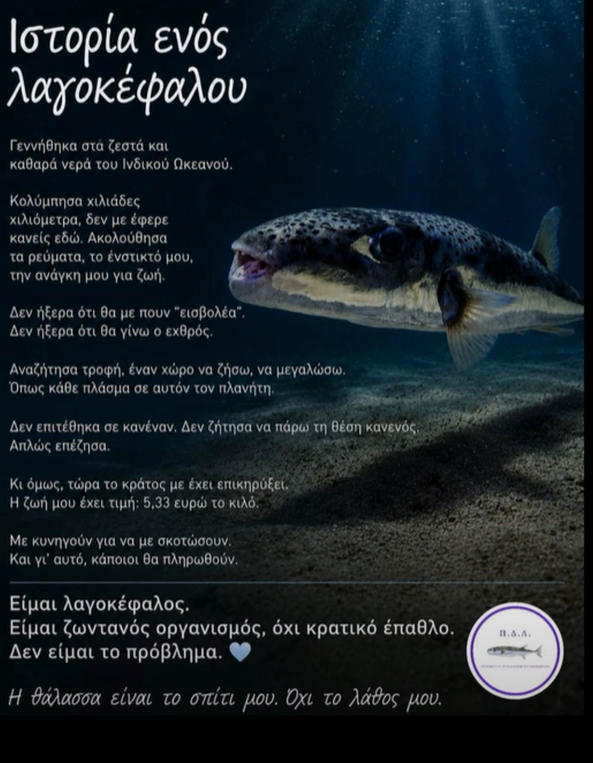 «Μην σκοτώνετε τον λαγοκέφαλο»: Η πρωτοβουλία για τη διάσωσή του που έχει ξεσηκώσει θύελλα αντιδράσεων