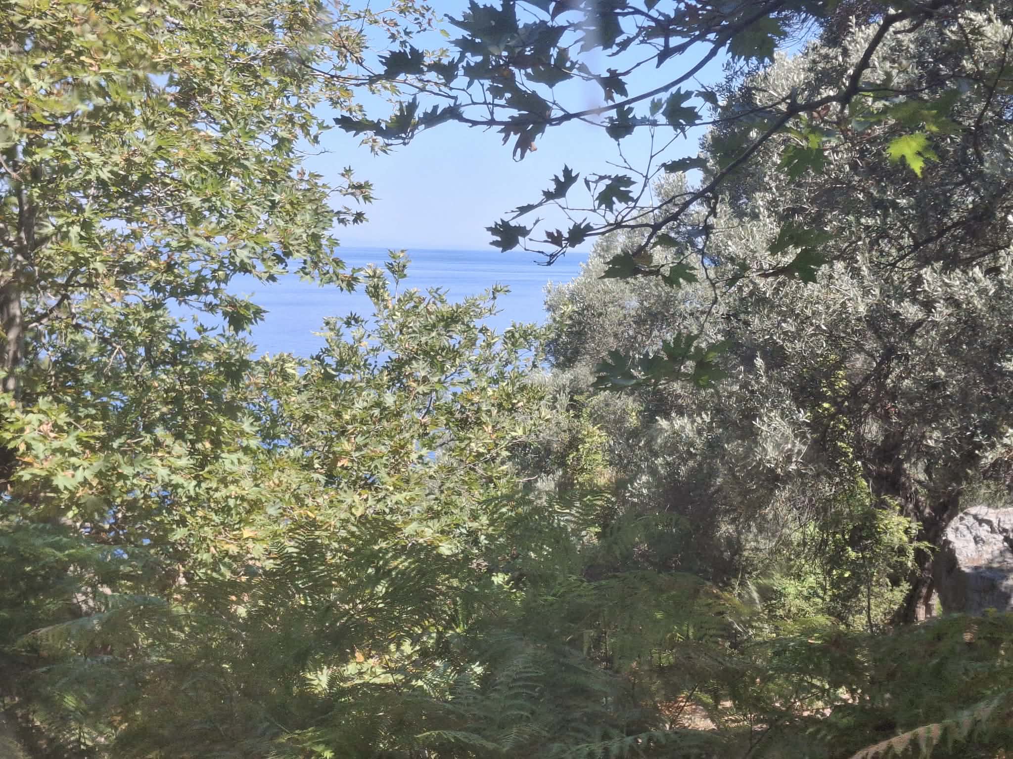 Θαψά-από-ψηλά-διαδρομή- Θαψά-από-ψηλά-διαδρομή-