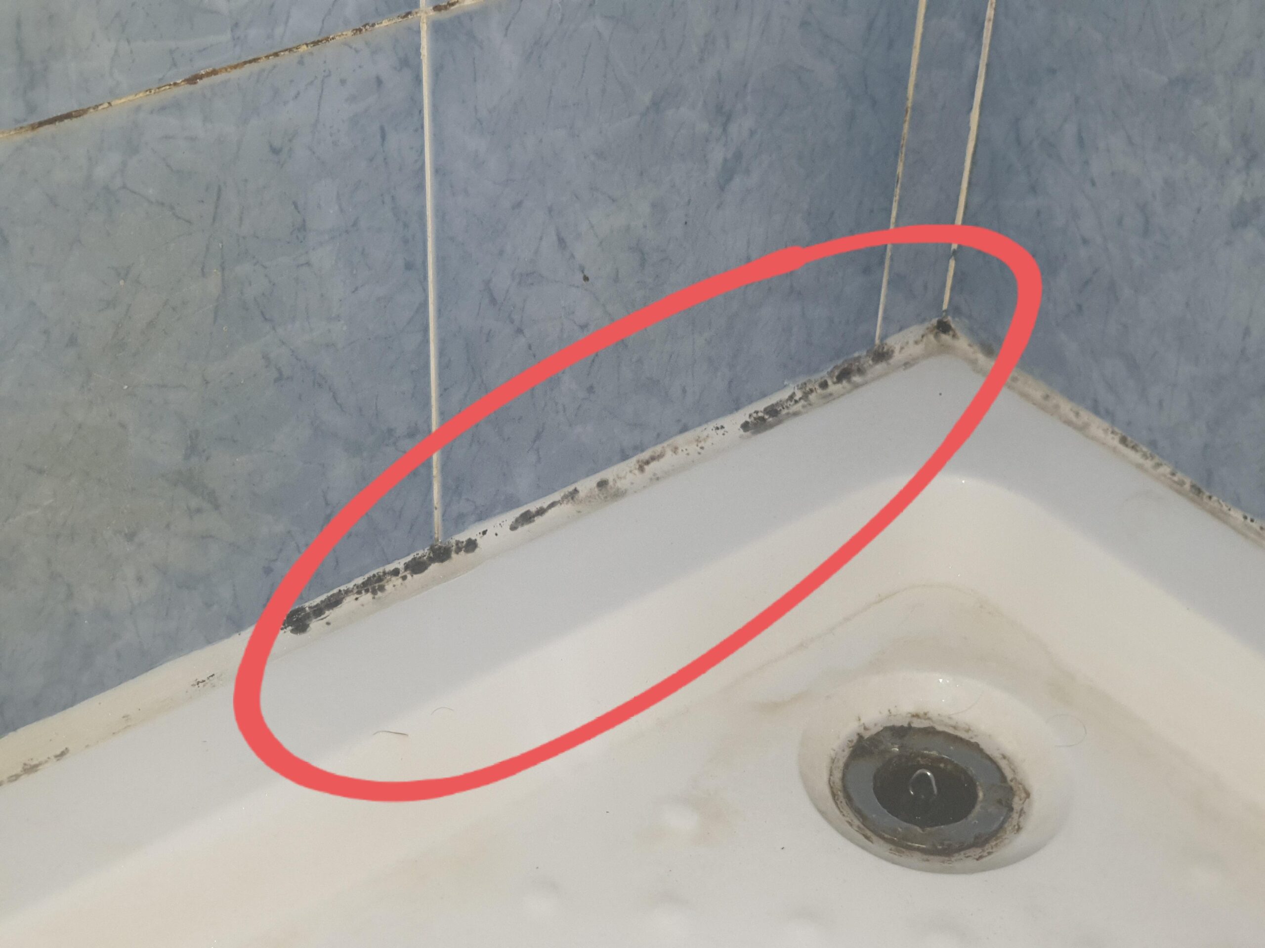 Μούχλα στο μπάνιο: Τα προβλήματα υγείας που δημιουργεί ανάλογα με το χρώμα και πώς να την εξαφανίσεις