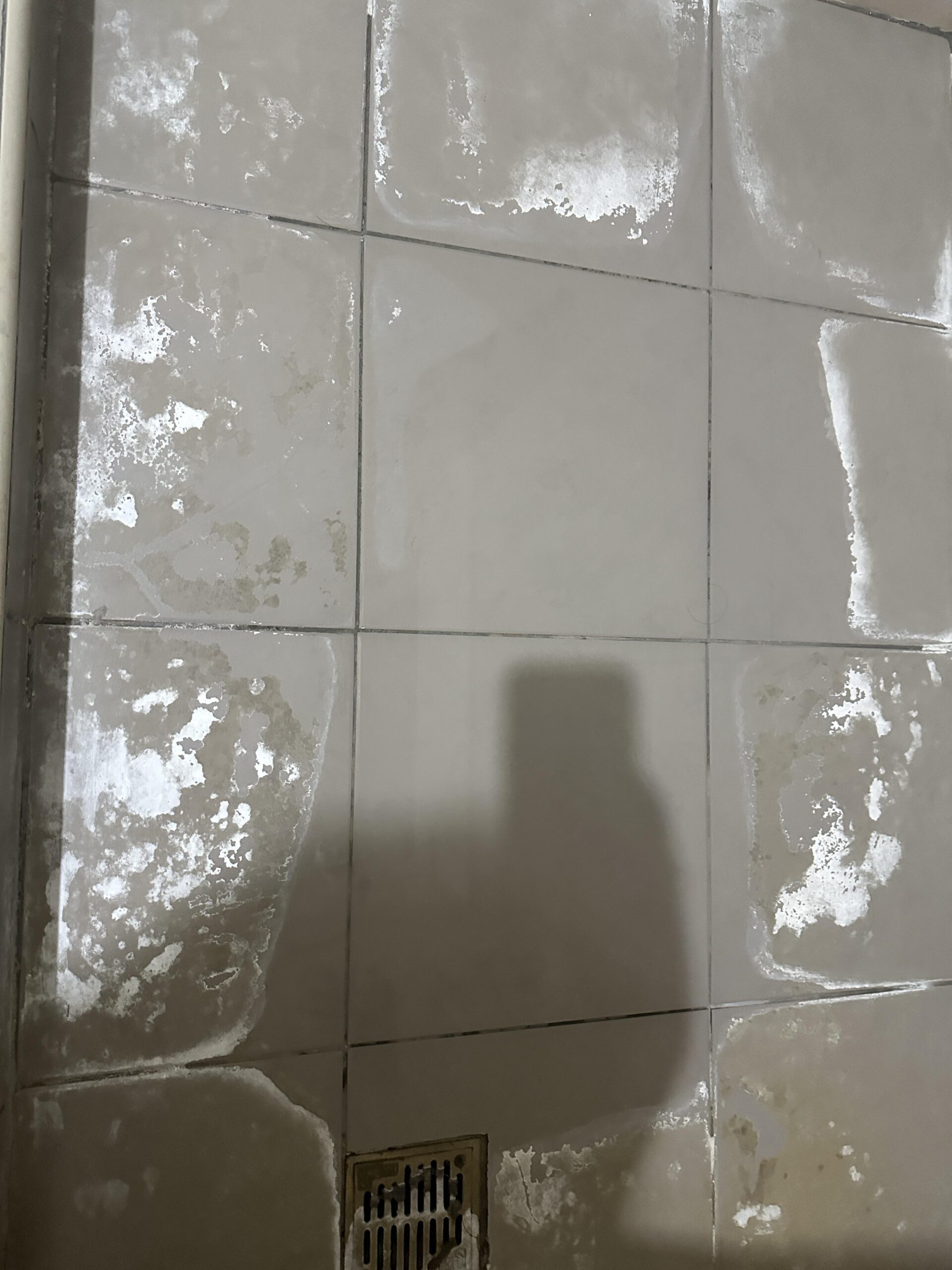 Μούχλα στο μπάνιο: Τα προβλήματα υγείας που δημιουργεί ανάλογα με το χρώμα και πώς να την εξαφανίσεις