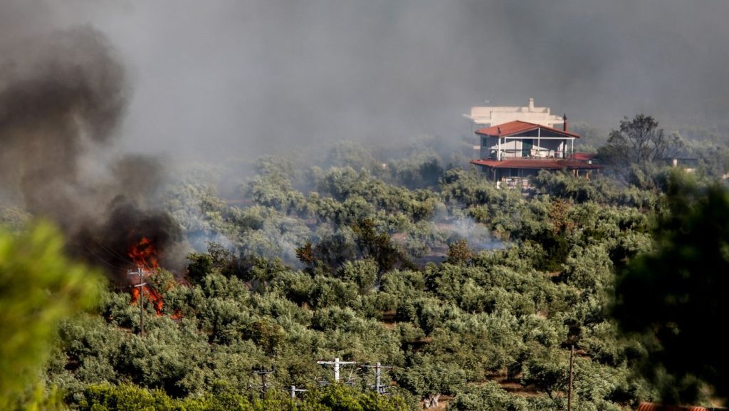 Φωτιά στη Βοιωτία: Μαίνεται η πυρκαγιά- Οι φλόγες μία ανάσα από τα σπίτια στον οικισμό Λιβαδόστρα (Φωτο και Βίντεο)