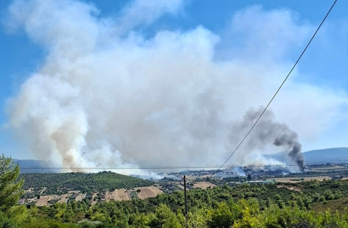 Μεγάλη Φωτιά τώρα στη Τανάγρα μετά τη πτώση του αεροσκάφους- Καίει κοντά σε βιομηχανικές εγκαταστάσεις
